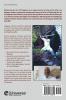 Mastering the Art of Taijiquan