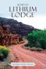Road to Lithium Lodge