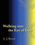 Walking into the Eye of God