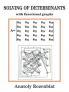Solving of Determinants with Functional Graphs