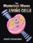 The Mysterious Waves of Living Cells
