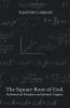 The Square Root of God: Mathematical Metaphors and Spiritual Tangents