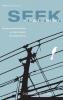 Seek the Peace of the City: Christian Political Criticism as Public Realist and Transformative: 5 (Theopolitical Visions)
