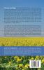 Van Gogh and the Art of Living: The Gospel According to Vincent Van Gogh