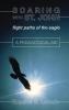 Soaring With St. John: Flight Paths of the Eagle / A Pedagogical Aid