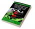Object-Orientation Abstraction and Data Structures Using Scala