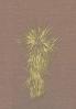 Marfa and Presidio County Texas