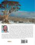 For the Love of the Snowgum