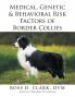 Medical Genetic & Behavioral Risk Factors of Border Collies