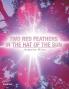 TWO RED FEATHERS IN THE HAT OF THE SUN