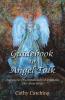 Guidebook to Angel Talk