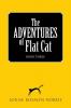 The ADVENTURES of Flat Cat