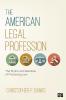 The American Legal Profession