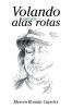 Volando con las alas rotas