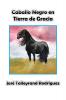 Caballo Negro en Tierra de Gracia