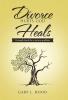 Divorce Hurts God Heals