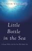 Little Bottle in the Sea