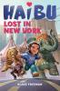 Haibu Lost in New York