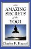 The Amazing Secrets of the Yogi