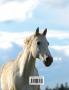 Kids Large Horse Journal