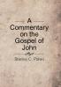 A Commentary on the Gospel of John: Stanley C. Polski