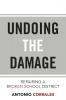 Undoing the Damage