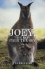 Joey the Boy from the Sky