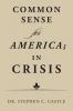 Common Sense for America; in Crisis