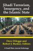 Jihadi Terrorism  Insurgency and the Islamic State