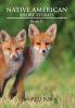 Native American Short Stories: Book II
