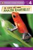 Life in the Amazon Rainforest