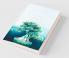 The World of Ficus Bonsai