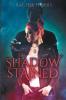 Shadow-Stained: 1 (Stones of Power)