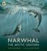 Narwhal: The Arctic Unicorn