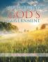 Announcing God'S Government