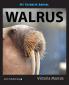 My Favorite Animal: Walrus