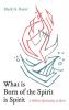 What Is Born of the Spirit Is Spirit: A Biblical Spirituality of Spirit