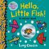 Hello Little Fish!: A Mirror Book