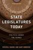 State Legislatures Today