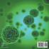Are All Bacteria Dangerous? Biology Book for Kids | Children's Biology Books