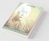 Albert Einstein The Genius Who Failed School - Biography Book Best Sellers | Children's Biography Books