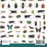 Spiders Ticks Mites Scorpions and More Insects for Kids - Arachnid Edition Children's Bug & Spider Books