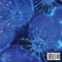 The Deadliest Diseases in History - Biology for Kids Children's Biology Books