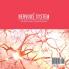 The Nervous System Is the Body's Central Control Unit Body Organs Book Grade 4 Children's Anatomy Books
