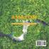The Amazon River Major Rivers of the World Series Grade 4 Children's Geography & Cultures Books