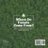 Where Do Forests Come From? Understanding Plant Reproduction Grade 5 Children's Nature Books