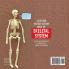 Everything You Need to Know About the Skeletal System | The Amazing Human Body and Its Systems Grade 4 | Children's Anatomy Books