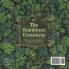 The Rainforest Ecosystem Kids' Earth Science Book Grade 4 Children's Environment Books