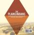 The Plains Indians Culture Wars and Settling the Western US History of the United States History 6th Grade Children's American History