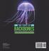The Topic of Backbones: Compare and Contrast Vertebrates and Invertebrates Life Science Biology 4th Grade Children's Biology Books